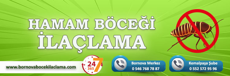 Hamam Böceği İlaçlama