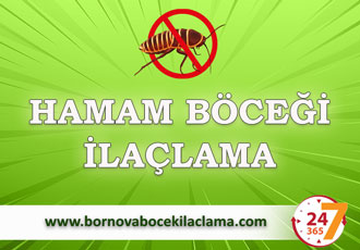 Hamam Böceği İlaçlama
