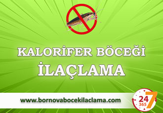 Kalorifer Böceği İlaçlama