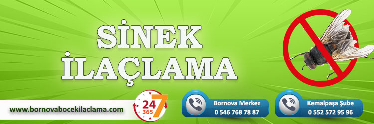 Sinek İlaçlama