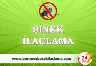 Sinek İlaçlama