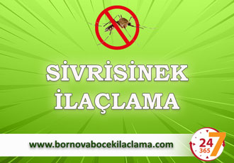 Sivrisinek İlaçlama