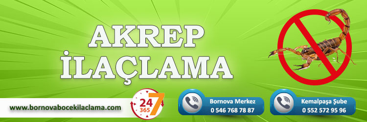 Akrep İlaçlama