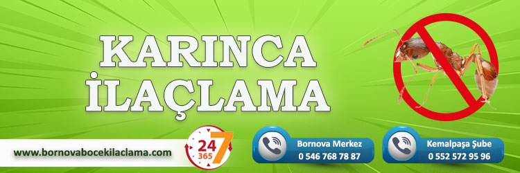 Karınca İlaçlama
