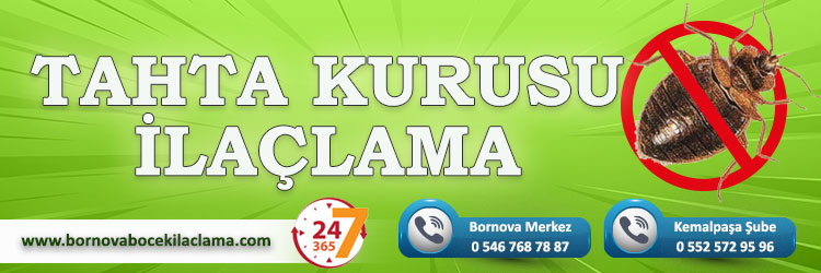 Tahta Kurusu İlaçlama