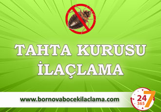 Tahta Kurusu İlaçlama