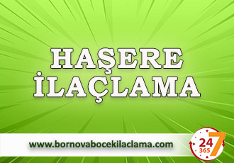 Haşere İlaçlama