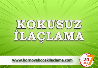 Kokusuz İlaçlama