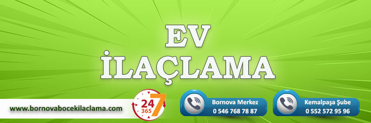 Ev İlaçlama