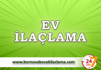 Ev İlaçlama