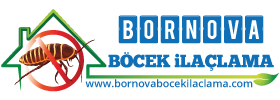 bornova Böcek İlaçlama